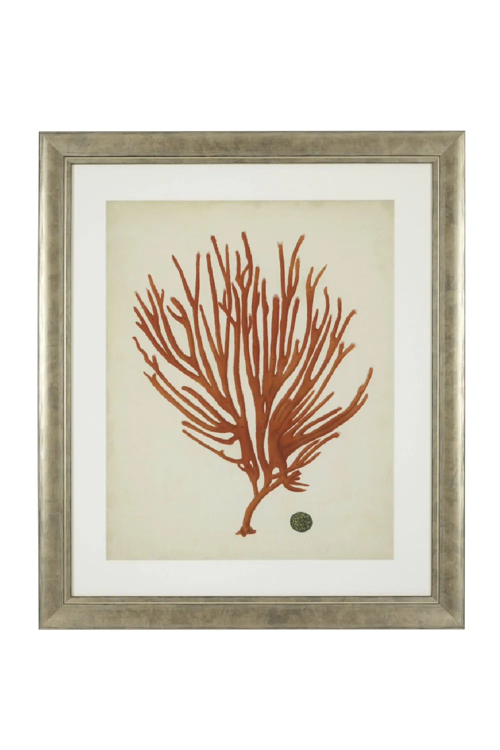 Coral Print Set (6) | Eichholtz Red Corals