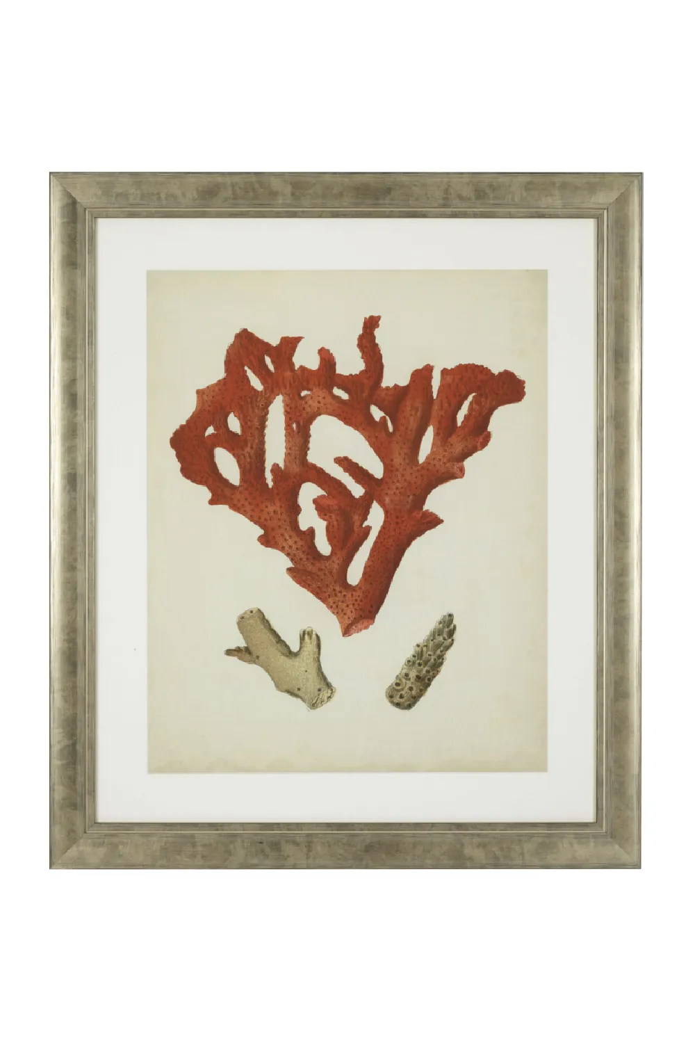 Coral Print Set (6) | Eichholtz Red Corals